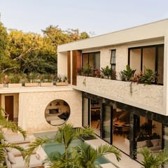 Wander Tulum Timber