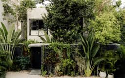 Wander Tulum Asha