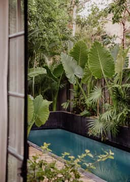 Wander Tulum Rooftop